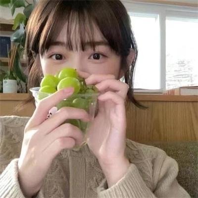 蓝色矢车菊